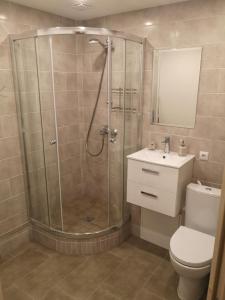 帕内韦日斯Parko apartamentai的带淋浴、卫生间和盥洗盆的浴室