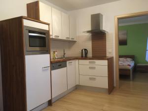 伏尔塔瓦河畔利普诺Harmonie Apartment的小厨房配有冰箱和微波炉。