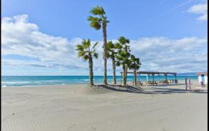 莫切Holidays Beach Torrox - 6的海滩上一排棕榈树与大海