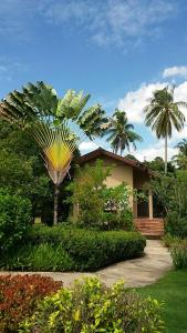 四色菊班苏安拉差瓦迪住宿加早餐旅馆的前面有棕榈树的房子