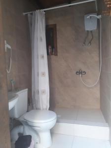 法马古斯塔Mystery Garden Guest House的浴室配有白色卫生间和淋浴。