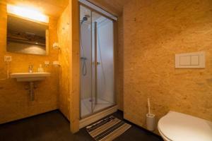 霍斯彭塔尔圣哥达苏斯特旅馆的带淋浴、卫生间和盥洗盆的浴室