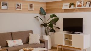 塞博河畔卡莱塔La Pardela Experience Apartamentos的带沙发和平面电视的客厅