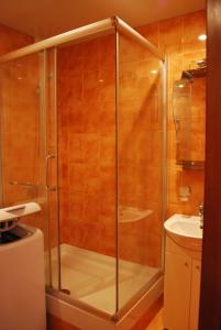 第聂伯罗Аппартаменты на проспекте Александра Поля Кирова 127的浴室里设有玻璃门淋浴