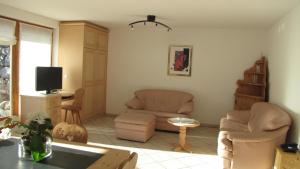 蓬特雷西纳Chesa Ovelin的客厅配有两把椅子和电视