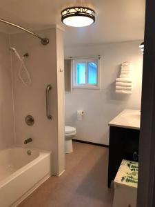 科迪亚克Zachar Bay Lodge的带浴缸、卫生间和盥洗盆的浴室
