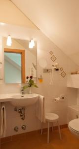 阿皮亚诺苏拉斯特拉达安格堡布鲁蒙酒店的一间带水槽、镜子和卫生间的浴室