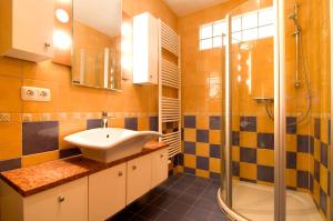 博恩Ferienhaus Zander mit Sauna的一间带水槽和淋浴的浴室