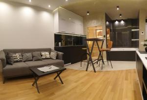 贝尔格莱德Luxury Spa Suite的带沙发和桌子的客厅以及厨房。