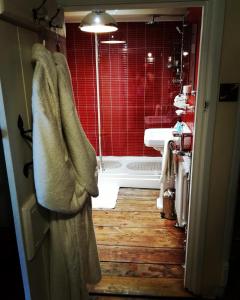 MallwydThe Firecat Country House Guesthouse的带淋浴和盥洗盆的浴室