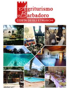 圣温琴佐Agriturismo Barbadoro的一张带游泳池的度假村照片