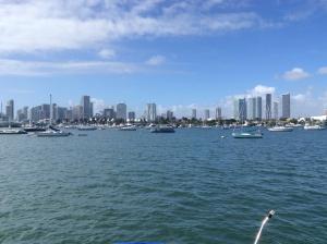 迈阿密Sailboat with view的一群船在一大片水中,与城市交汇