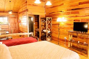 坎伯雷塔Complejo Apus的一间卧室设有木墙、一张床和电视。