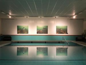福勒松德Gotlands Idrottscenter Vandrarhem的墙上有四张照片的游泳池