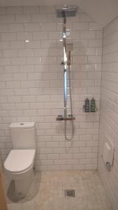 巴拉撒拉Trail Lodge的白色的浴室设有卫生间和淋浴。