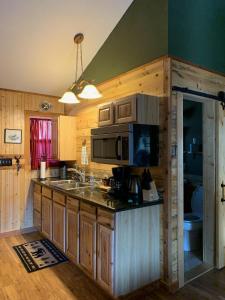 Lake CityThe North Face Lodge的厨房配有水槽和微波炉