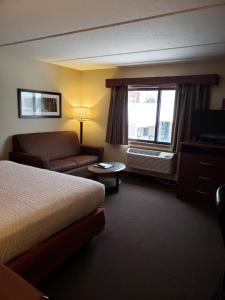 Iron River铁溪阿美瑞辛酒店的酒店客房设有床、沙发和窗户。