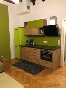 耶拿Appartment im Villenviertel的绿色厨房配有炉灶和冰箱