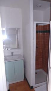 Carmaux勒甘贝塔酒店 的一间带水槽、淋浴和卫生间的浴室