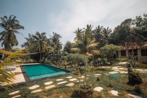 吉利阿尔斯佳村庄酒店的棕榈树庭院内的游泳池