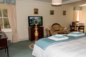 Newcastleton艾伯特肖恩之家农场住宿加早餐旅馆的一间卧室配有一张床、一台电视和一张沙发