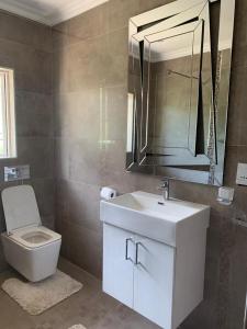 斯科特堡White House lodge in Scotburgh的一间带卫生间、水槽和镜子的浴室