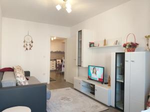 坎普朗莫道尼斯Luxury-Apartment Ultracentral的客厅配有沙发和架子上的电视
