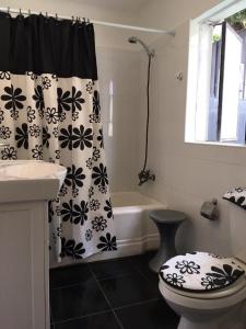 维纳德马Viña Colores的浴室配有带卫生间和浴缸的淋浴帘