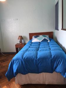 Viña Colores客房内的一张或多张床位