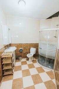 达利安奥扎尔普别墅公寓酒店的一间带卫生间和玻璃淋浴间的浴室