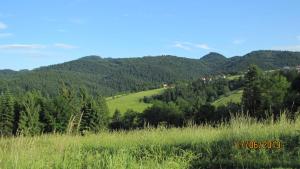 GrywałdDomek na Przylasku的享有远处绿树成荫的山丘美景