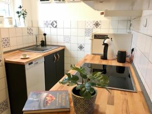 海德堡海德堡公寓的厨房配有水槽和盆栽桌子