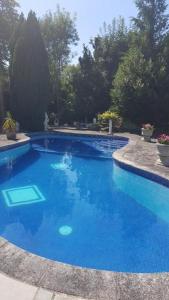 梅登黑德Norfolk House的庭院里的一个蓝色海水游泳池