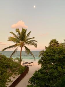 图卢姆Libelula Tulum Beachfront Hotel的棕榈树和长椅的海滩和海洋