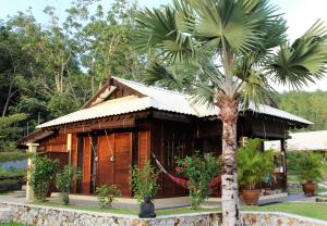 瓜埠Villa Kelapa Langkawi的一座木房子,前面有一棵棕榈树