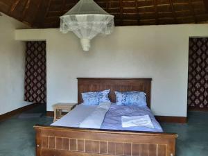 Pakwach EastTangi Safari Lodge的一间卧室配有一张带蓝色枕头的大床
