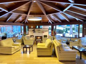 普奇塞达湖泊酒店的带沙发和椅子的客厅以及壁炉