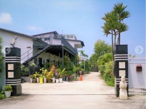 古坑棕榈岛民宿的一条街道旁的棕榈树建筑