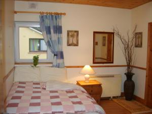 基拉尼Killarney Railway Hostel的一间卧室设有床、窗户和一盏灯。