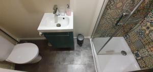 坎佩尔Appartement Studio Chanoine的浴室配有卫生间、盥洗盆和淋浴。