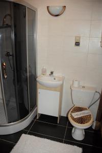 考斯赛力克Pokoje Gościnne Kościelisko AZ Somatic的浴室配有卫生间、盥洗盆和淋浴。