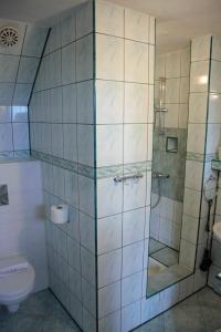 考斯赛力克Pokoje Gościnne Kościelisko AZ Somatic的带淋浴和卫生间的浴室