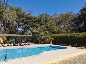 SanyangTendinkoto Lodge的庭院内的游泳池,带椅子和树木