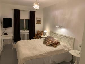 VittsjöFurulidens Hotell的一间卧室配有一张带两个枕头的床