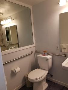卡尔斯巴德塔马拉克海滩酒店的一间带卫生间、水槽和镜子的浴室