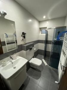 贝谢诺瓦Villa Rustica的浴室配有卫生间、盥洗盆和淋浴。