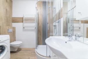 比得哥什Apartament Graniczna 6B的一间带水槽、卫生间和淋浴的浴室