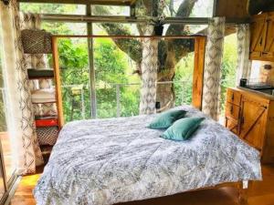San IsidroCabaña treehouse Mountain View的窗户间内的一张带两个枕头的床