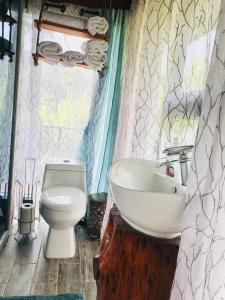 San IsidroCabaña treehouse Mountain View的一间带卫生间和水槽的浴室