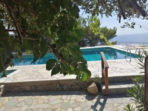 阿依弗西亚费尔马索拉里斯公寓的海景游泳池